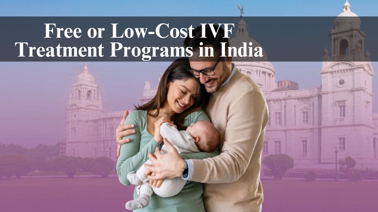 Free or Low-Cost IVF Treatment Programs in India