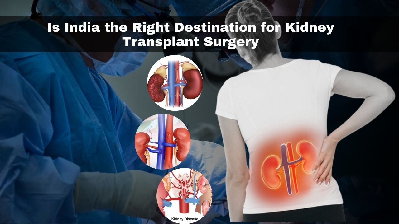 Is India the Right Destination for Kidney Transplant Surgery