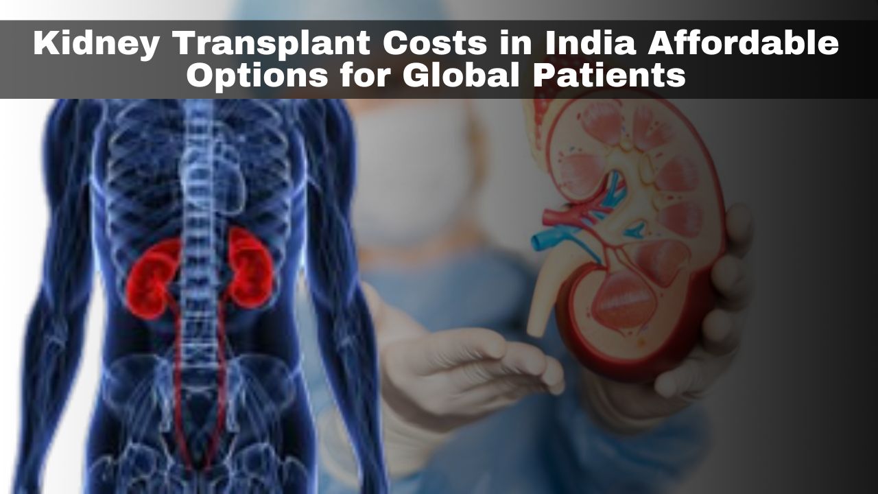 Kidney Transplant Costs in India: Affordable Options for Global Patients