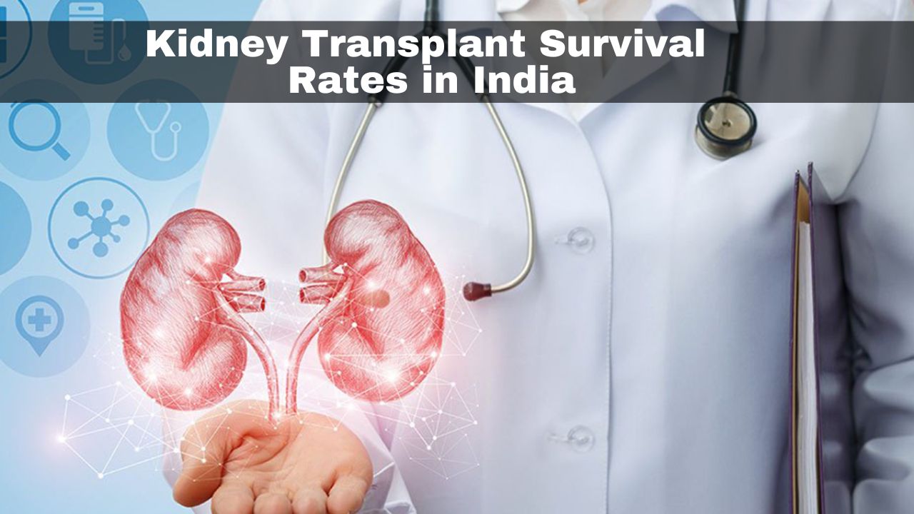 Kidney Transplant Survival Rates in India