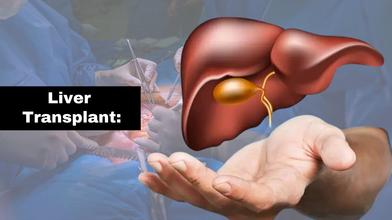 Liver Transplant in India: Costs, Success Rates, and Best Doctors